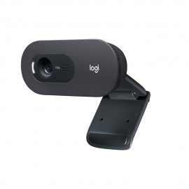 Cámara Web Logitech C505 Videoconferencias HD 720p (960-001363)