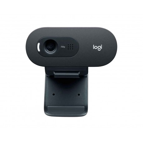 Webcam Hd Logitech C505 960-001367 Negro