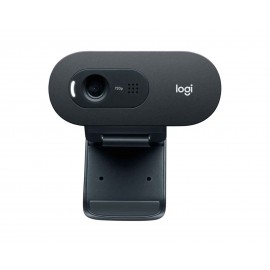 Webcam Hd Logitech C505 960-001367 Negro